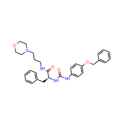 O=C(Nc1ccc(OCc2ccccc2)cc1)N[C@@H](Cc1ccccc1)C(=O)NCCCN1CCOCC1 ZINC000028339360