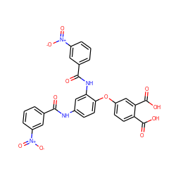 O=C(Nc1ccc(Oc2ccc(C(=O)O)c(C(=O)O)c2)c(NC(=O)c2cccc([N+](=O)[O-])c2)c1)c1cccc([N+](=O)[O-])c1 ZINC000003935929