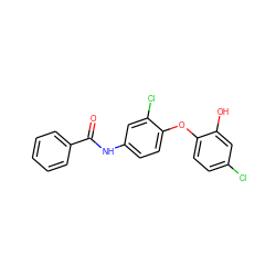 O=C(Nc1ccc(Oc2ccc(Cl)cc2O)c(Cl)c1)c1ccccc1 ZINC000028562825