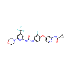 O=C(Nc1ccc(Oc2ccnc(NC(=O)C3CC3)c2)c(F)c1)Nc1cc(C(F)(F)F)cc(N2CCOCC2)n1 ZINC001772621240