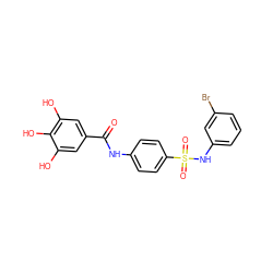 O=C(Nc1ccc(S(=O)(=O)Nc2cccc(Br)c2)cc1)c1cc(O)c(O)c(O)c1 ZINC000043019480