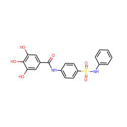 O=C(Nc1ccc(S(=O)(=O)Nc2ccccc2)cc1)c1cc(O)c(O)c(O)c1 ZINC000043015918