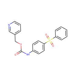 O=C(Nc1ccc(S(=O)(=O)c2ccccc2)cc1)OCc1cccnc1 ZINC000096271360