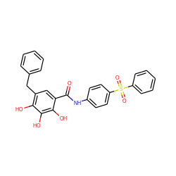 O=C(Nc1ccc(S(=O)(=O)c2ccccc2)cc1)c1cc(Cc2ccccc2)c(O)c(O)c1O ZINC000029464713