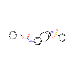 O=C(Nc1ccc2c(c1)C[C@H]1CC[C@@H](C2)[C@@H]1NS(=O)(=O)c1ccccc1)OCc1ccccc1 ZINC000013919110