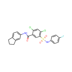 O=C(Nc1ccc2c(c1)CCC2)c1cc(S(=O)(=O)Nc2ccc(F)cc2)c(Cl)cc1Cl ZINC000003307015