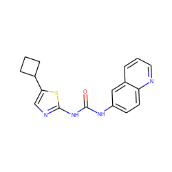 O=C(Nc1ccc2ncccc2c1)Nc1ncc(C2CCC2)s1 ZINC000028394051