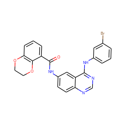 O=C(Nc1ccc2ncnc(Nc3cccc(Br)c3)c2c1)c1cccc2c1OCCO2 ZINC000084688515