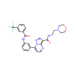 O=C(Nc1cccc(-c2ccnc3c(C(=O)NCCN4CCOCC4)cnn23)c1)c1cccc(C(F)(F)F)c1 ZINC000043010724