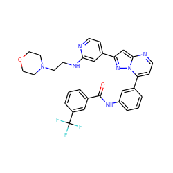 O=C(Nc1cccc(-c2ccnc3cc(-c4ccnc(NCCN5CCOCC5)c4)nn23)c1)c1cccc(C(F)(F)F)c1 ZINC000049781093