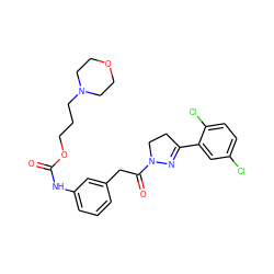 O=C(Nc1cccc(CC(=O)N2CCC(c3cc(Cl)ccc3Cl)=N2)c1)OCCCN1CCOCC1 ZINC000043152508