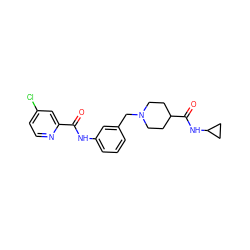 O=C(Nc1cccc(CN2CCC(C(=O)NC3CC3)CC2)c1)c1cc(Cl)ccn1 ZINC001772646605