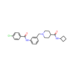 O=C(Nc1cccc(CN2CCC(C(=O)NC3CCC3)CC2)c1)c1ccc(Cl)cc1 ZINC001772602350