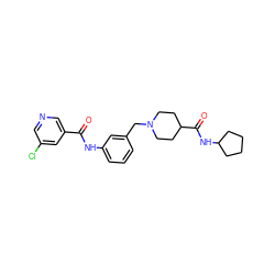 O=C(Nc1cccc(CN2CCC(C(=O)NC3CCCC3)CC2)c1)c1cncc(Cl)c1 ZINC001772623376