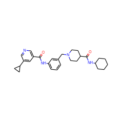 O=C(Nc1cccc(CN2CCC(C(=O)NC3CCCCC3)CC2)c1)c1cncc(C2CC2)c1 ZINC001772587276