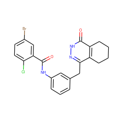 O=C(Nc1cccc(Cc2n[nH]c(=O)c3c2CCCC3)c1)c1cc(Br)ccc1Cl ZINC000167949885