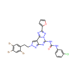 O=C(Nc1cccc(Cl)c1)Nc1nc2nn(CCc3cc(Br)c(Br)cc3Br)cc2c2nc(-c3ccco3)nn12 ZINC000095611437