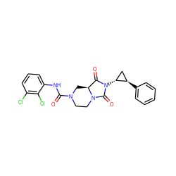 O=C(Nc1cccc(Cl)c1Cl)N1CCN2C(=O)N([C@@H]3C[C@H]3c3ccccc3)C(=O)[C@@H]2C1 ZINC000072142582