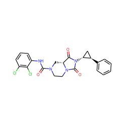 O=C(Nc1cccc(Cl)c1Cl)N1CCN2C(=O)N([C@@H]3C[C@H]3c3ccccc3)C(=O)[C@H]2C1 ZINC000072107449