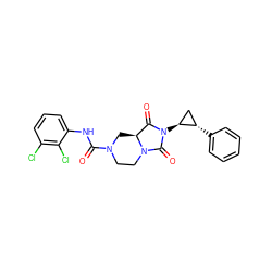 O=C(Nc1cccc(Cl)c1Cl)N1CCN2C(=O)N([C@H]3C[C@@H]3c3ccccc3)C(=O)[C@@H]2C1 ZINC000072105414