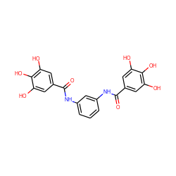 O=C(Nc1cccc(NC(=O)c2cc(O)c(O)c(O)c2)c1)c1cc(O)c(O)c(O)c1 ZINC000003937613