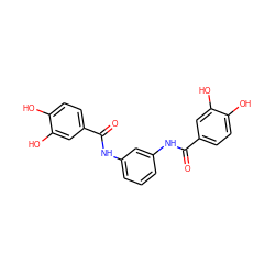 O=C(Nc1cccc(NC(=O)c2ccc(O)c(O)c2)c1)c1ccc(O)c(O)c1 ZINC000003937609