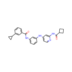 O=C(Nc1cccc(Nc2ccnc(NC(=O)C3CCC3)c2)c1)c1cccc(C2CC2)c1 ZINC000653853878