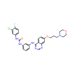 O=C(Nc1cccc(Nc2ncnc3cc(OCCCN4CCOCC4)ccc23)c1)Nc1ccc(F)c(Cl)c1 ZINC000103297191