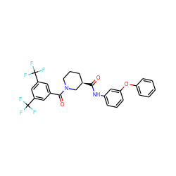 O=C(Nc1cccc(Oc2ccccc2)c1)[C@@H]1CCCN(C(=O)c2cc(C(F)(F)F)cc(C(F)(F)F)c2)C1 ZINC000096272120