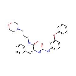 O=C(Nc1cccc(Oc2ccccc2)c1)N[C@H](Cc1ccccc1)C(=O)NCCCN1CCOCC1 ZINC000028134649