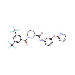 O=C(Nc1cccc(Oc2ccccn2)c1)[C@@H]1CCCN(C(=O)c2cc(C(F)(F)F)cc(C(F)(F)F)c2)C1 ZINC000096272148