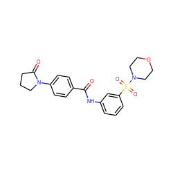 O=C(Nc1cccc(S(=O)(=O)N2CCOCC2)c1)c1ccc(N2CCCC2=O)cc1 ZINC000009510081