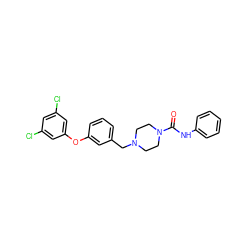 O=C(Nc1ccccc1)N1CCN(Cc2cccc(Oc3cc(Cl)cc(Cl)c3)c2)CC1 ZINC000200260648