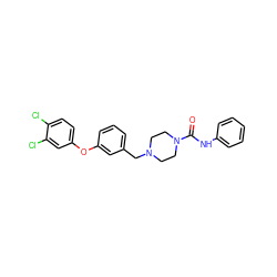 O=C(Nc1ccccc1)N1CCN(Cc2cccc(Oc3ccc(Cl)c(Cl)c3)c2)CC1 ZINC000035998469