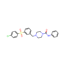 O=C(Nc1ccccc1)N1CCN(Cc2cccc(S(=O)(=O)c3ccc(Cl)cc3)c2)CC1 ZINC000136560415