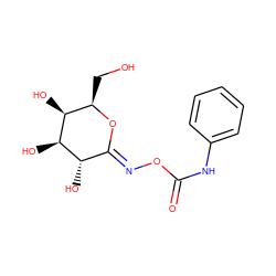 O=C(Nc1ccccc1)O/N=C1\O[C@H](CO)[C@H](O)[C@H](O)[C@H]1O ZINC000090697650