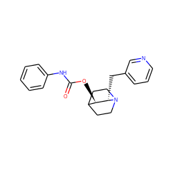 O=C(Nc1ccccc1)O[C@@H]1C2CCN(CC2)[C@H]1Cc1cccnc1 ZINC000038223732