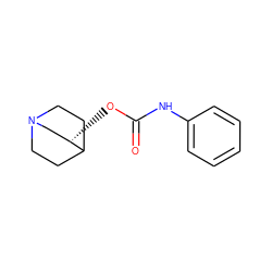 O=C(Nc1ccccc1)O[C@H]1CN2CCC1CC2 ZINC000000050682