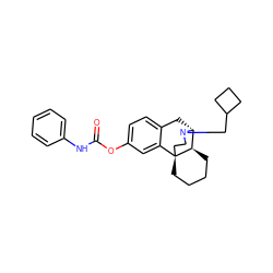 O=C(Nc1ccccc1)Oc1ccc2c(c1)[C@@]13CCCC[C@@H]1[C@@H](C2)N(CC1CCC1)CC3 ZINC000036221701