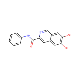 O=C(Nc1ccccc1)c1cc2cc(O)c(O)cc2cn1 ZINC000006575437