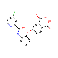 O=C(Nc1ccccc1Oc1ccc(C(=O)O)c(C(=O)O)c1)c1cc(Cl)ccn1 ZINC000013587604