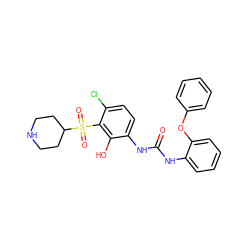 O=C(Nc1ccccc1Oc1ccccc1)Nc1ccc(Cl)c(S(=O)(=O)C2CCNCC2)c1O ZINC000115476567