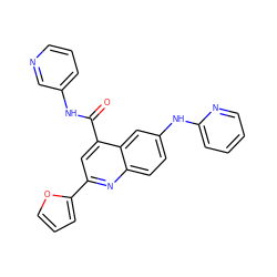 O=C(Nc1cccnc1)c1cc(-c2ccco2)nc2ccc(Nc3ccccn3)cc12 ZINC000150134245