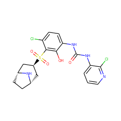 O=C(Nc1cccnc1Cl)Nc1ccc(Cl)c(S(=O)(=O)[C@H]2C[C@@H]3CC[C@H](C2)N3)c1O ZINC000115475082