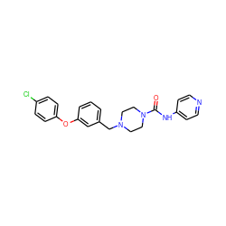 O=C(Nc1ccncc1)N1CCN(Cc2cccc(Oc3ccc(Cl)cc3)c2)CC1 ZINC000095552095