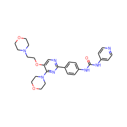 O=C(Nc1ccncc1)Nc1ccc(-c2ncc(OCCN3CCOCC3)c(N3CCOCC3)n2)cc1 ZINC000205765410