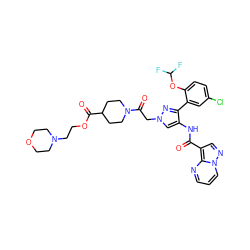 O=C(Nc1cn(CC(=O)N2CCC(C(=O)OCCN3CCOCC3)CC2)nc1-c1cc(Cl)ccc1OC(F)F)c1cnn2cccnc12 ZINC001772590201