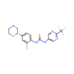 O=C(Nc1cnc(C(F)(F)F)nc1)Nc1ccc([C@H]2CNCCO2)cc1Cl ZINC000149846739