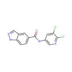 O=C(Nc1cnc(Cl)c(Cl)c1)c1ccc2[nH]ncc2c1 ZINC000144972244