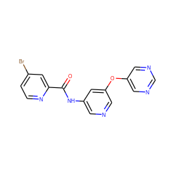 O=C(Nc1cncc(Oc2cncnc2)c1)c1cc(Br)ccn1 ZINC000096175692